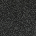 Morrison  Velvet