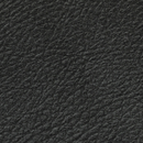 Morrison  Velvet