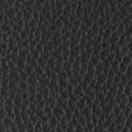 Moto Jaguar