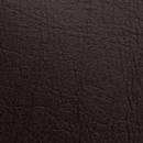 Assia Novo Bic