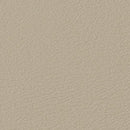Colegial